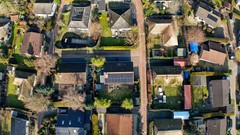 Gentenerf 10-24.24.jpeg